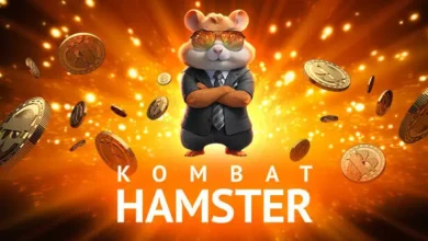 Hamster Kombat Daily Cipher