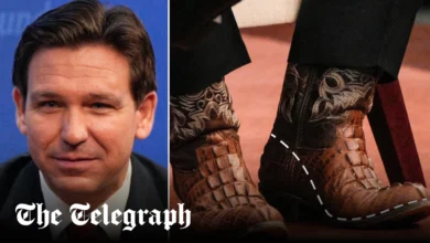 DeSantis Boots