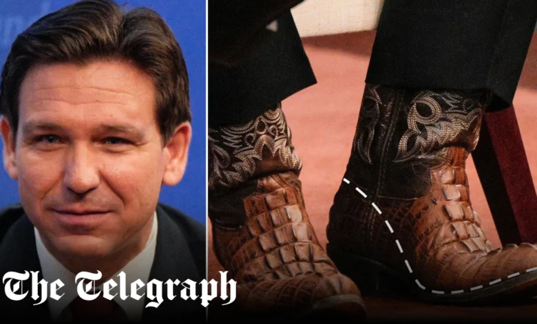 DeSantis Boots
