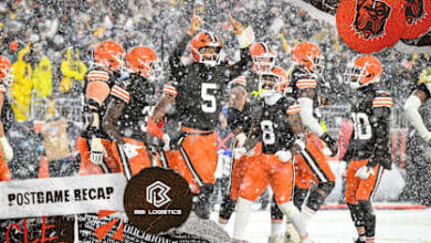 Cleveland Browns vs Steelers Match Player Stats