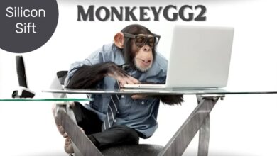 MonkeyGG2