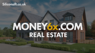 money6x.com real estate