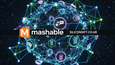 Connections Hint Today Mashable