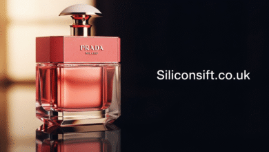 Prada Paradoxe